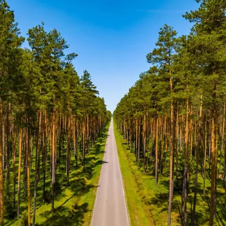 Zapach Lasu - Naturalne Spa, Sun & Snow *